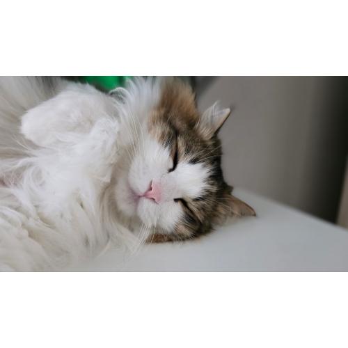 이진우