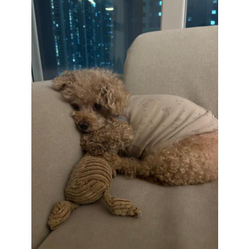 구동휘