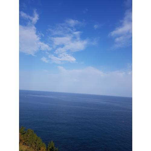 정현식