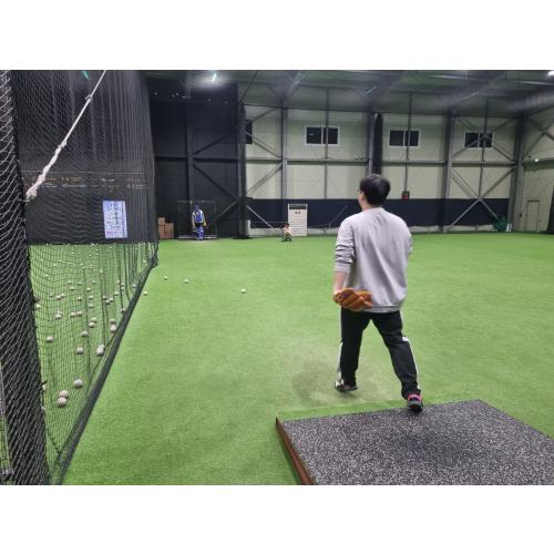 임영수