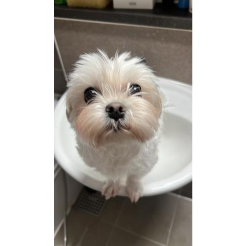 신민서