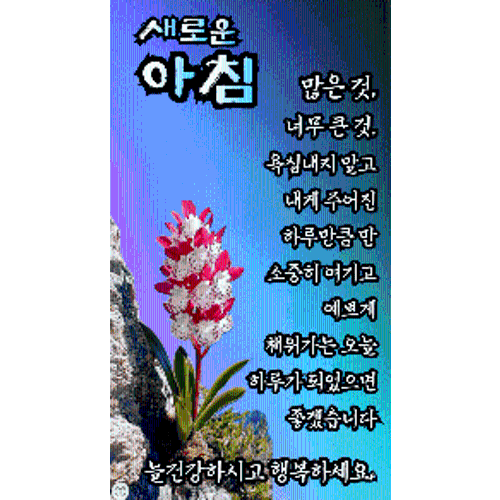 정서영
