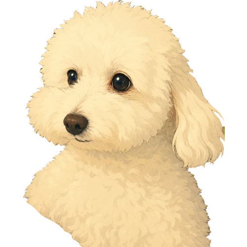 한정우