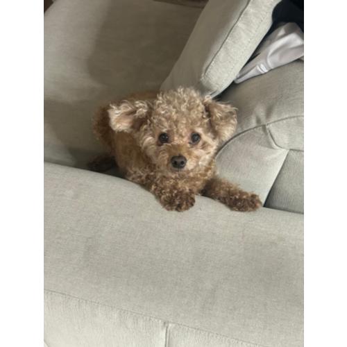 구동휘